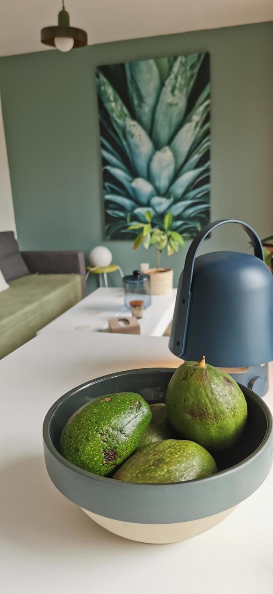 Apartamento T2 L'ile De Avec Parking Prive